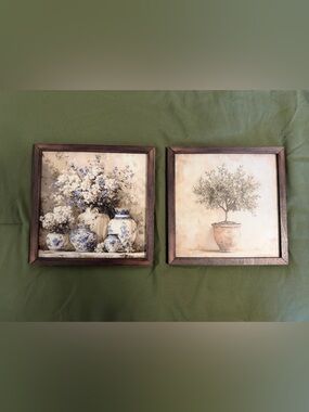 Set of 2 Framed Botanical Art Prints in Olive Green & Neutral Tones